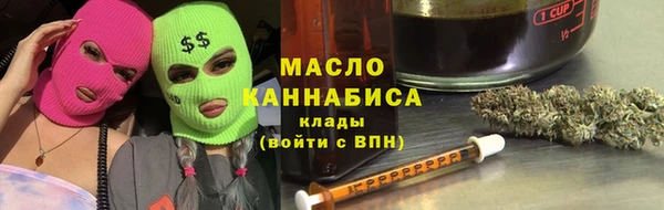 индика Аркадак