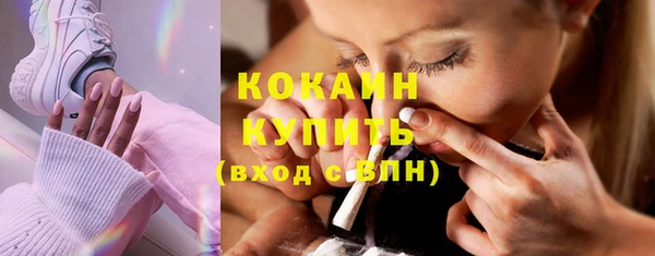индика Аркадак