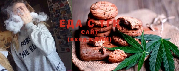 индика Аркадак