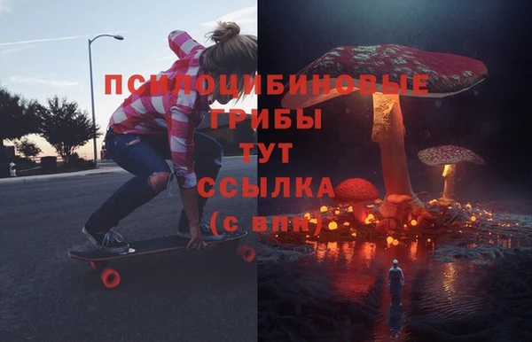 меф Арсеньев