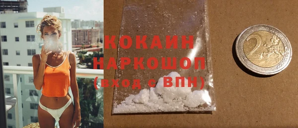 индика Аркадак